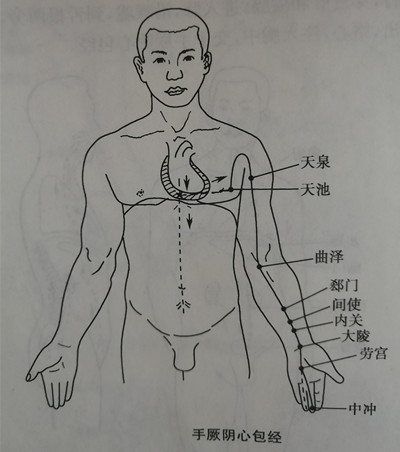 肺经心经心包经位置图图片