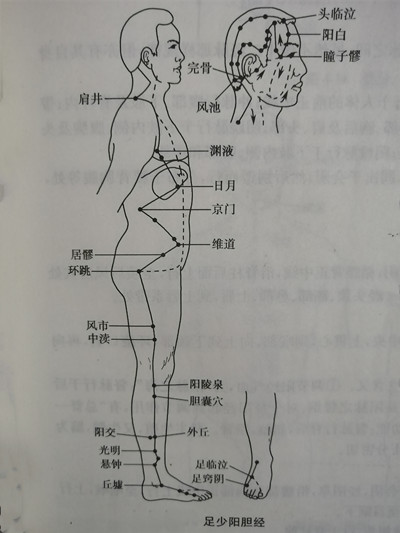 胆经在脚上的位置图图片