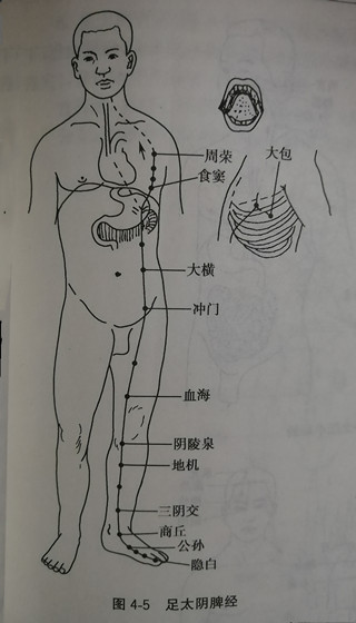 脾经在什么位置图解图片